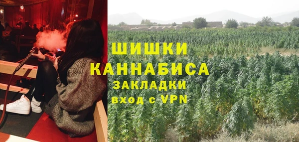 МДПВ Дмитровск