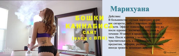 гашик Елизово