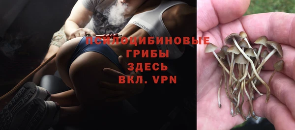 кокаин колумбия Дмитров