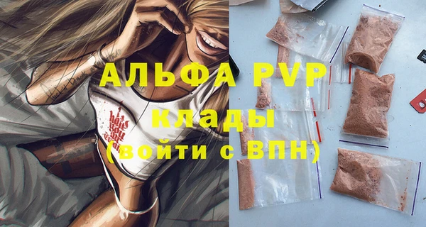 гашик Елизово